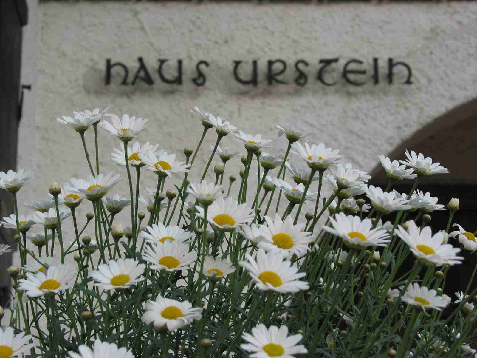 urstein